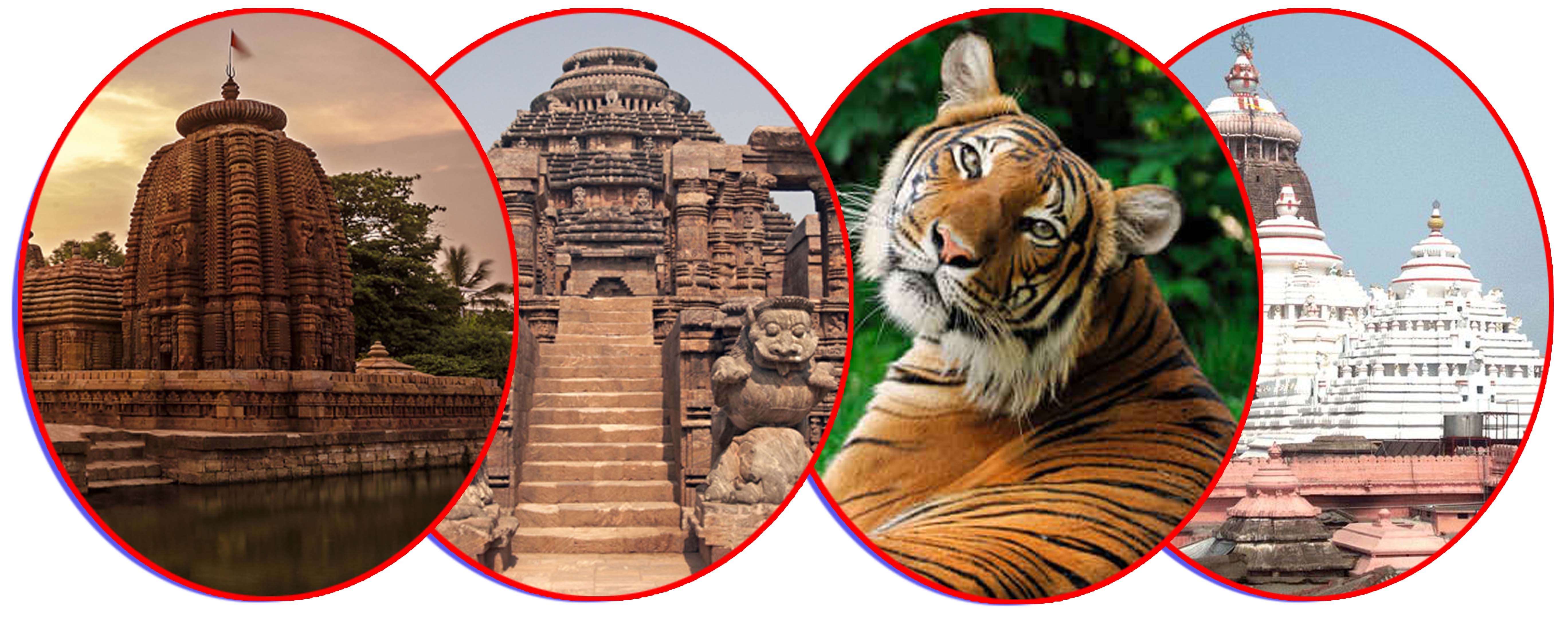 ODISHA TEMPLE WITH WILDLIFE TOUR