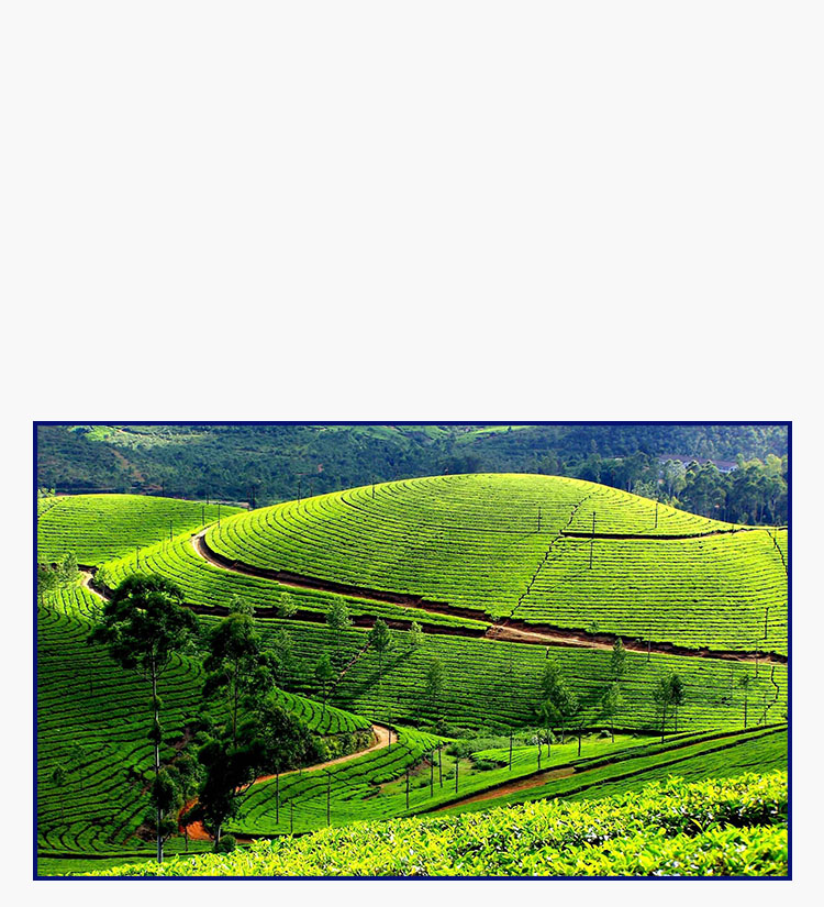 Kerala Tour